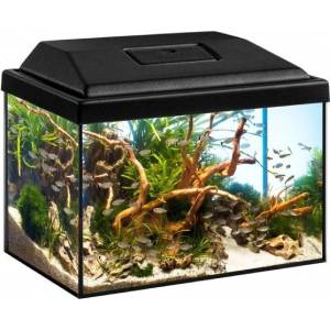 Diversa Аквариум diversa startup splash 12л + 3w led