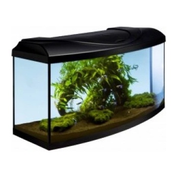 Diversa Startup 60 LED Expert akvarijní set vypouklý černý 54 l