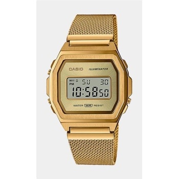 Casio A1000MG-9