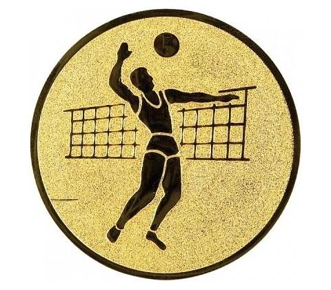 Emblém E19 Volejbal