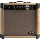 Stagg 20 AA