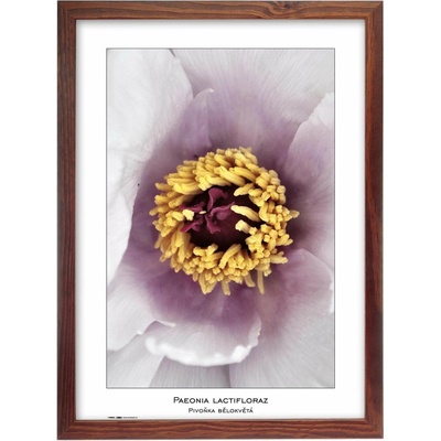 TRADAG Natura 29,7 x 42 - A3 hnědý – Zboží Živě