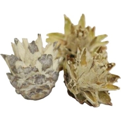 Plumosum stone washed loose 250 g