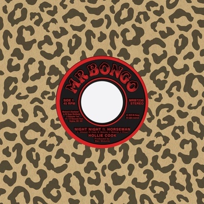 Hollie Cook - 7-NIGHT NIGHT Vinyl