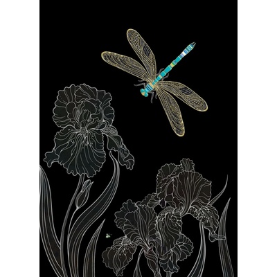 Luxusní přání M153 BUG ART - DRAGONFLY IRISES M153