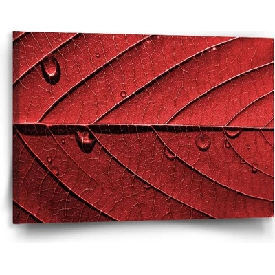Sablio Obraz Červený list - 90x60 cm