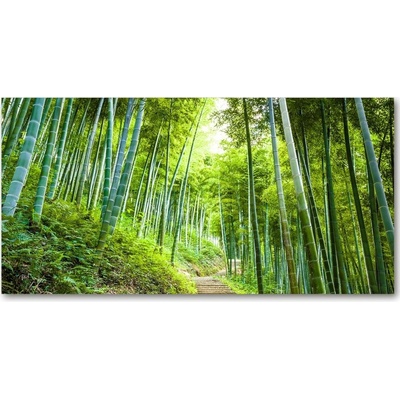 Foto obraz sklenený horizontálny bambusový les 100x50 cm
