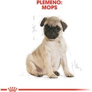 Royal Canin Pug Puppy 1,5 kg