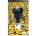 D3 Publisher Despicable Me (PSP)