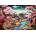 Alipson Puzzle - Puzzle Japanese Temple in Spring - 1 000 piese