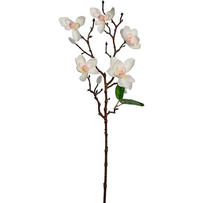 KONÁR MAGNÓLIA KRÉM 66CM