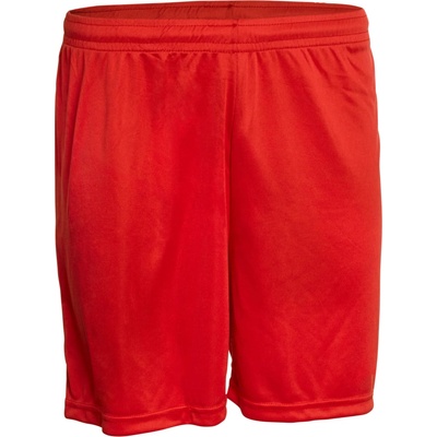 Derbystar Derbystar Basic Shorts Jr červená