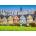 Bluebird Puzzle - Puzzle San Francisco, Painted Ladies 3000 - 3 000 piese