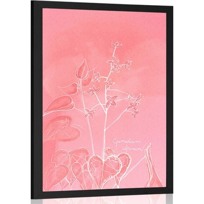 Plakát úchvatná rostlina Epimedium alpinum - 40x60 no frame