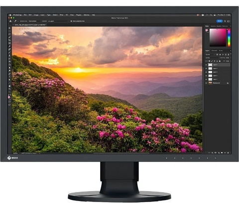 Eizo CS2400S