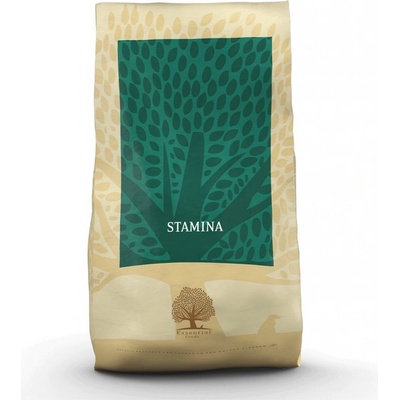 Essential Stamina 2 x 10 kg