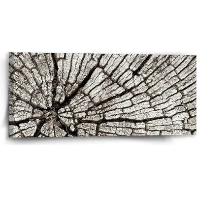 Sablio Obraz Drevo - 110x50 cm