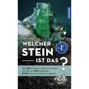 Welcher Stein ist das? | Rupert Hochleitner (ISBN: 9783440180266)