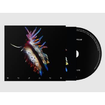 Sub Focus - Evolve CD