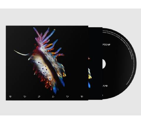 Sub Focus - Evolve CD