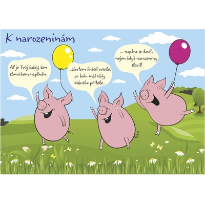 Albi Narozeninové hrací přání - Čuníci