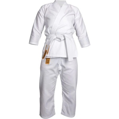 Fighter GI GAKUSEI