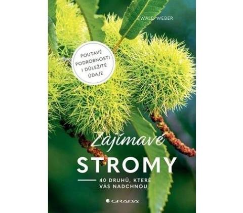 Zajímavé stromy
