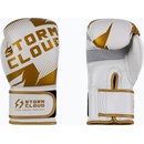 StormCloud Bolt 2.0