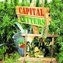 Captial Letters - Vineyard LP