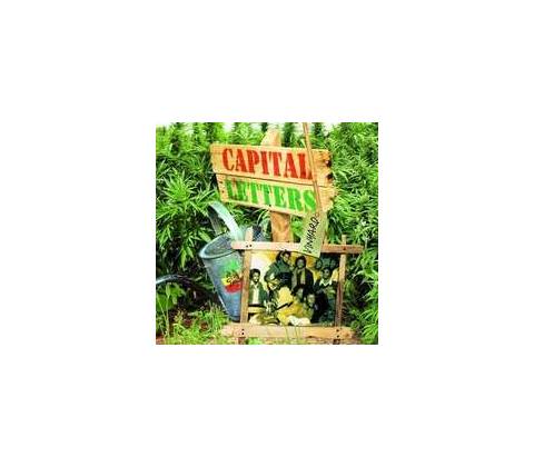 Captial Letters - Vineyard LP