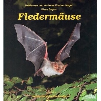 Fledermäuse
