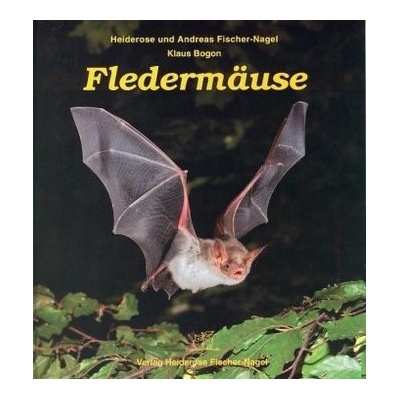 Fledermäuse