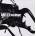 Massive Attack - Mezzanine CD