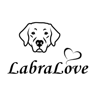 Nažehlovací nápis pes - Love Vzor: 1
