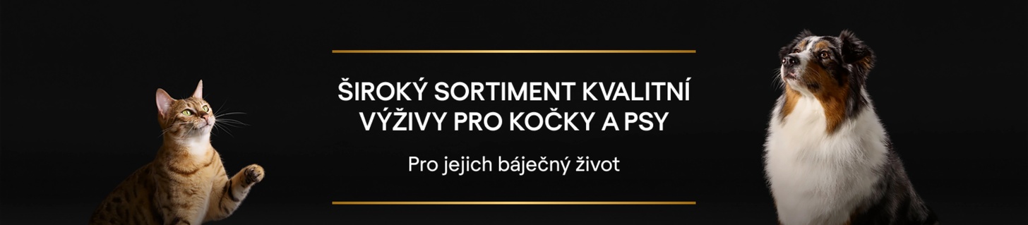 Pro Plan