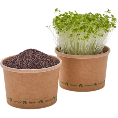 TINY GREENS Brokolica - BIO semienka na klíčenie a microgreens