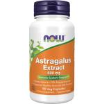 NOW NOW Astragalus Extract 500mg, 90 Veg Capsules