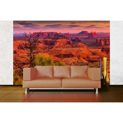 Dimex MA-5-1646 Samolepicí vliesová fototapeta na zeď Monument Valley rozměry 375 x 250 cm