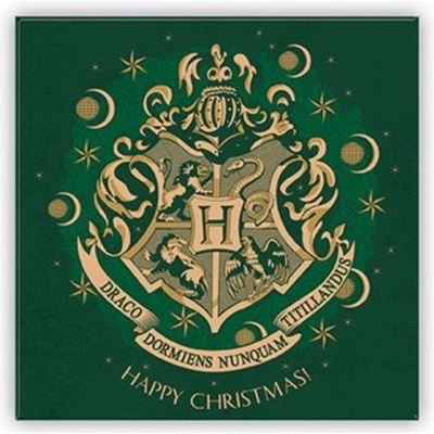 Магнит The Good Gift Movies: Harry Potter - Hogwarts Green (TGGMAG064)