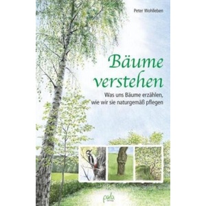 Bäume verstehen | Peter Wohlleben, Margret Schneevoigt (ISBN: 9783895663659)
