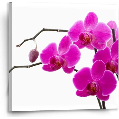Sablio Obraz Fialové orchidey - 50x50 cm