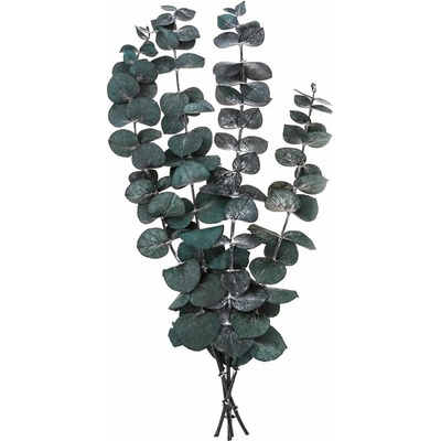 Stabilizovaný eukalyptus baby blue / 4 stonky, zelený, 20 cm