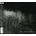 The Headlight Serenade - Triosk CD