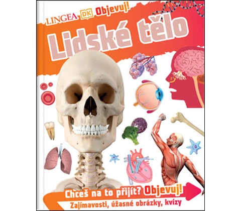 Lidské tělo