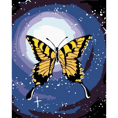 Zuty Malování podle číselMotýl a noční obloha 40 x 50 cm vypnuté plátno na rám 8596530031659