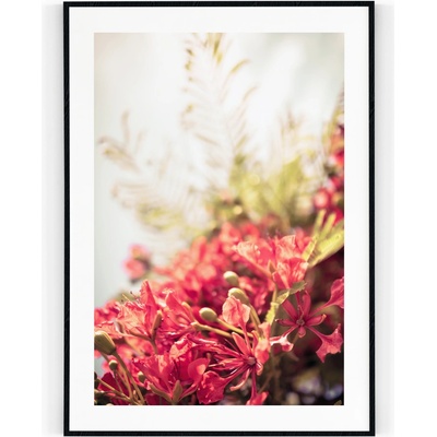 Plakát / Obraz Bloom 50 x 70 cm Tiskové plátno S bílým okrajem – Zbozi.Blesk.cz