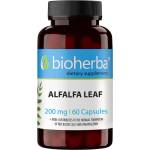 Bioherba Alfalfa Leaf, 200 mg, 60 капсули, Bioherba