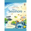 Peep Inside the Seashore