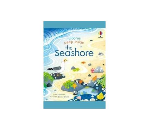 Peep Inside the Seashore