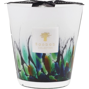 Baobab Collection Rainforest Amazonia Ароматна свещ 16 см (MAX16RFA)